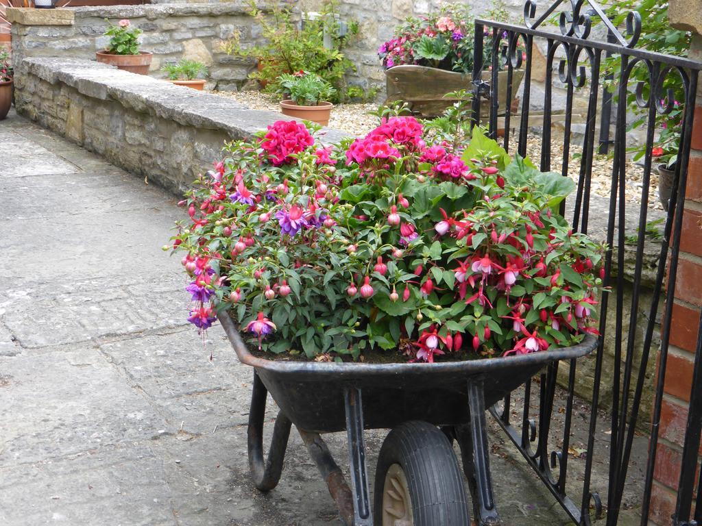 Liongate House Bed & Breakfast Ilchester Exterior photo